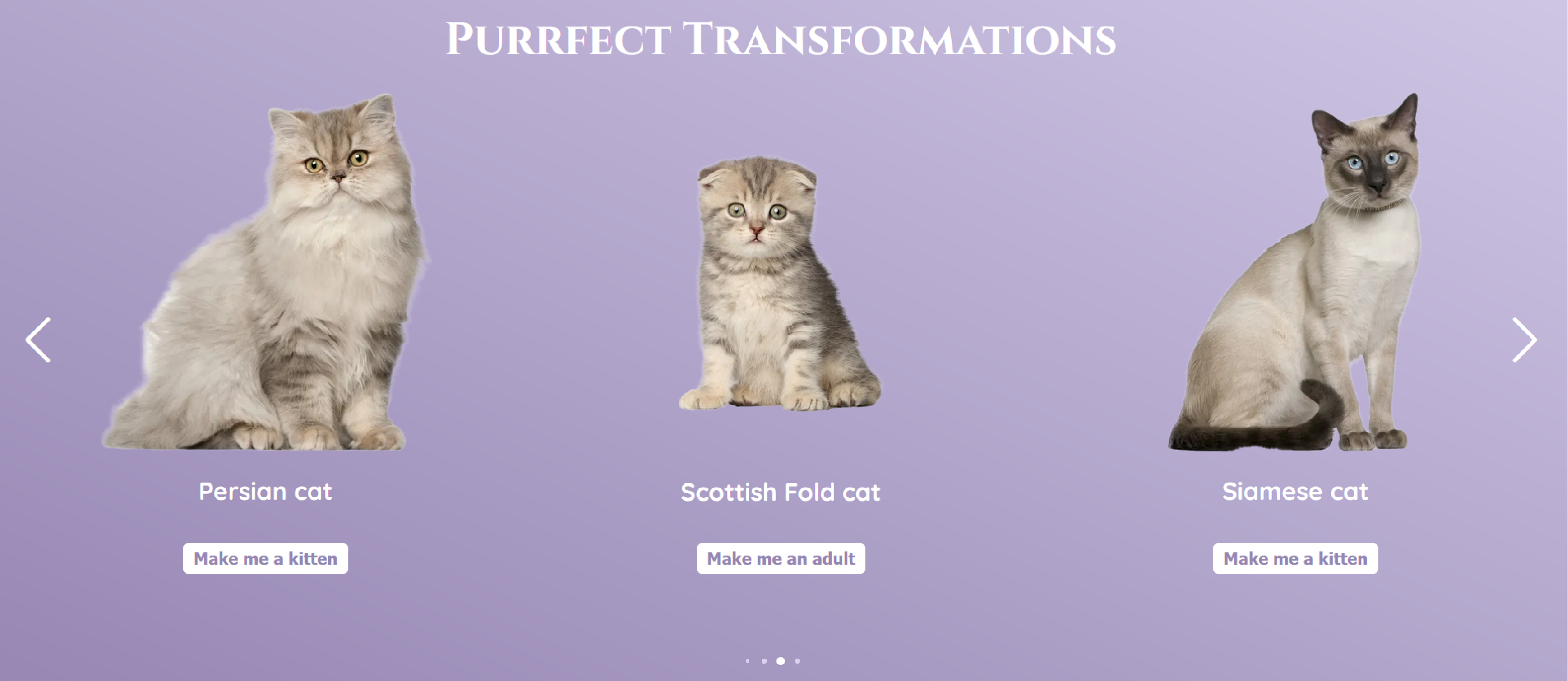 purrfecttransformation